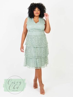 plus size mother of the dresses | Chic Bridal