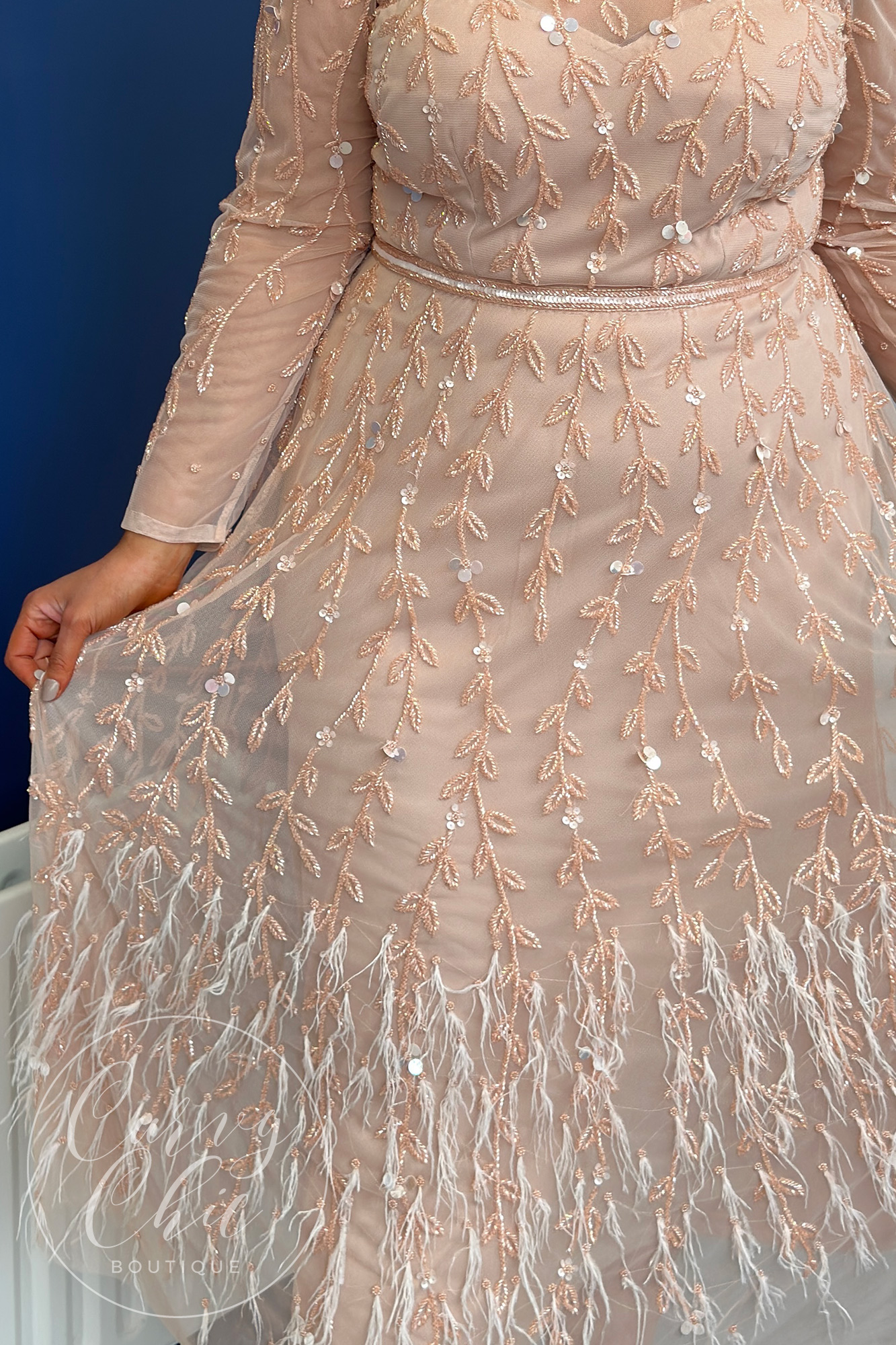 Blush Embellished Beaded Tulle Dress with Sleeves | 991919 closeup detail